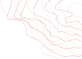 LineVec